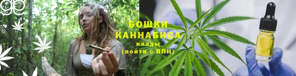 бошки Кулебаки
