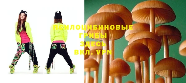 бошки Кулебаки
