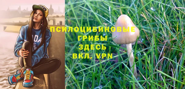 бошки Кулебаки