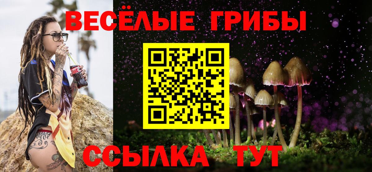 Псилоцибиновые грибы Psilocybine cubensis Тихорецк