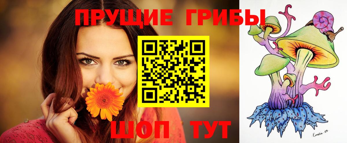 Галлюциногенные грибы Psilocybine cubensis  Вход с VPN  Тихорецк 
